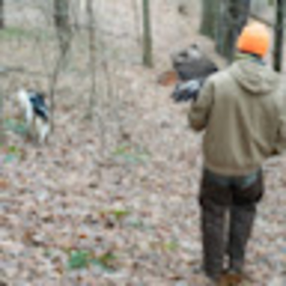 Meet your Posher, Samuel